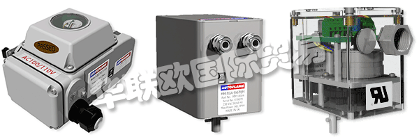 因此被視為AUTOFLAME公司和質(zhì)量管理體系的主要目標(biāo)。