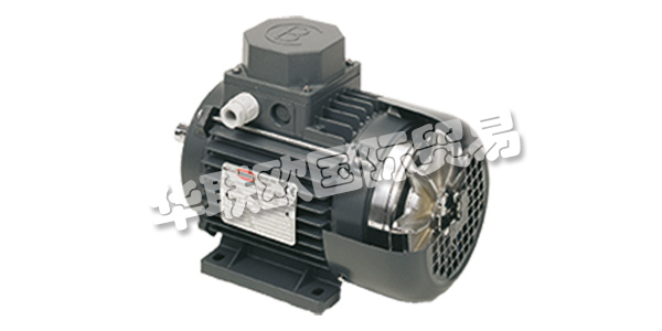 MOTORI BONORA成立于1945年，其業(yè)務(wù)逐步集中在異步電動機的生產(chǎn)上。  　　在這些年里，他們努力追隨市場的發(fā)展，加強他們制造商的使命，并高度重視產(chǎn)品和服務(wù)的質(zhì)量。