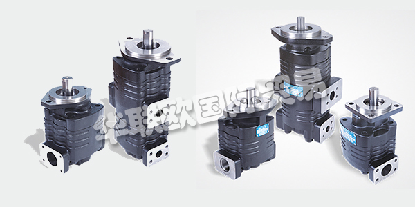 印度VELJAN主要產品：VELJAN齒輪泵、液壓閥等。VELJAN HYDRAIR LIMITED成立于1965年，是印度FLUID POWER公司的先驅，也是其獨立的領導者。