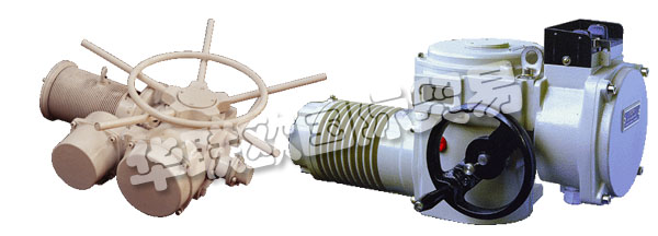 歐洲捷克ZPA-PECKY公司的產(chǎn)品主要有：ZPA PECKY執(zhí)行器、ZPA PECKY電機(jī)、伺服電機(jī)、單回轉(zhuǎn)執(zhí)行器、多回轉(zhuǎn)執(zhí)行器、杠桿伺服電機(jī)、線性伺服電機(jī)、伺服電機(jī)的配置器、ZPM變速箱、Mastergear變速箱、單轉(zhuǎn)伺服電機(jī)、多圈伺服電機(jī)、推力伺服電機(jī)。