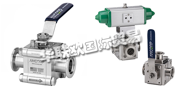 美國(guó)ANCORP公司主要供應(yīng)：美國(guó)ANCORP閥門,ANCORP過濾器，真空閥，疏水閥，真空球閥，二通球閥，三通球閥，高電導(dǎo)球閥，顆粒分離器，螺栓，螺母，固定環(huán)，夾具等產(chǎn)品。