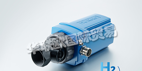 德國HEGWEIN火焰探測器產品介紹